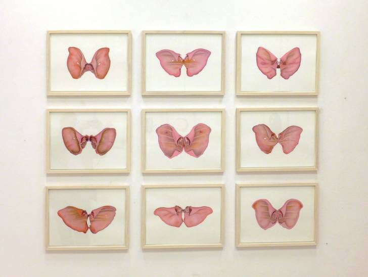 portfolio item Wilma Stegeman met de titel: Pink Butterflies